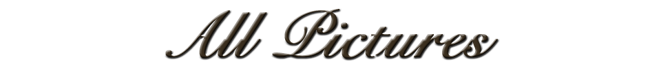 All Pictures
